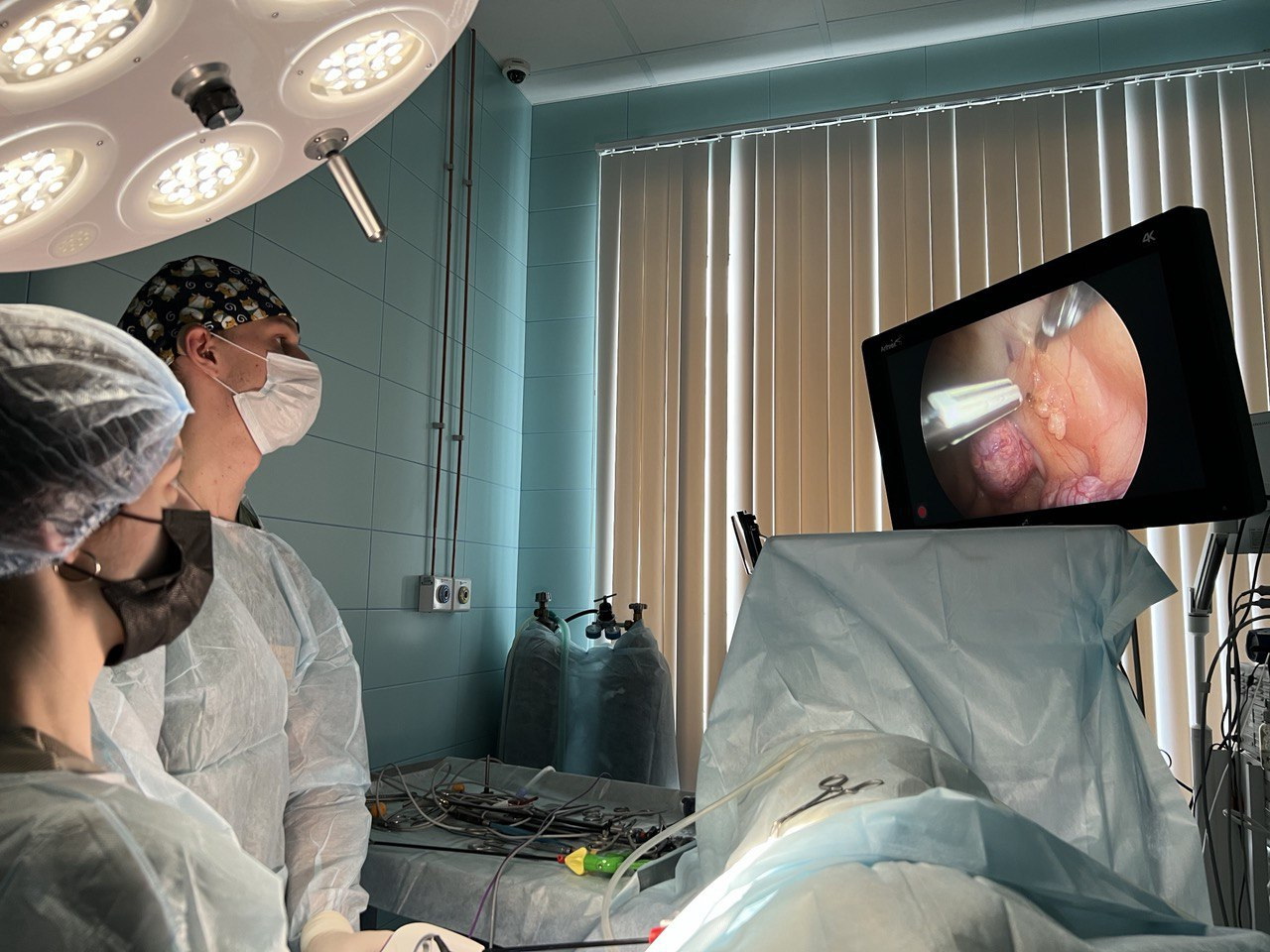 Лапароскопия мелких домашних животных. Базовый курс