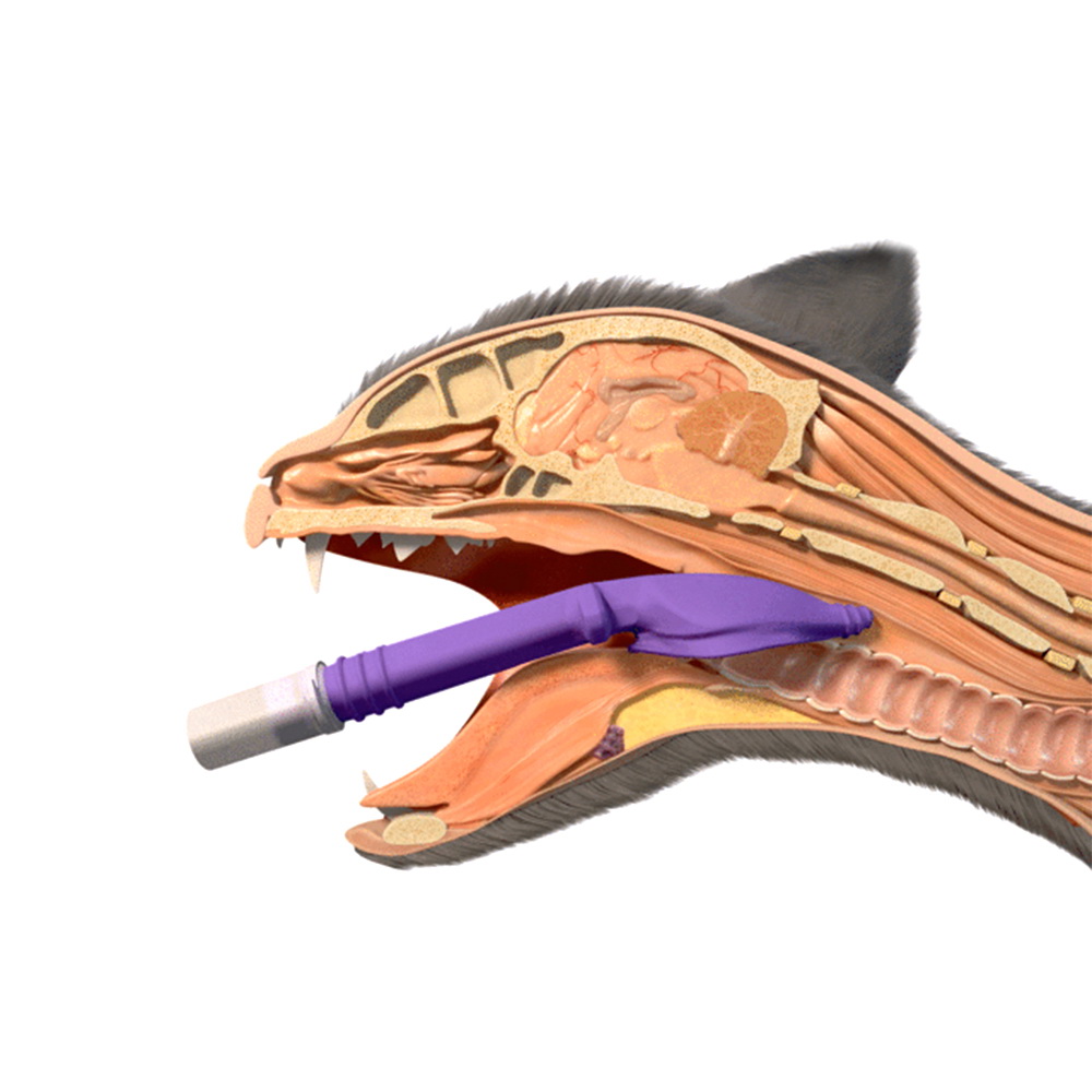 Маска ларингеальная, для кошек, V-gel