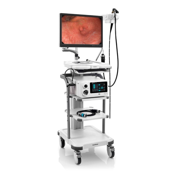 Система видеоэндоскопическая, (видеоцентр, видеокамера, V-10M), V-2000