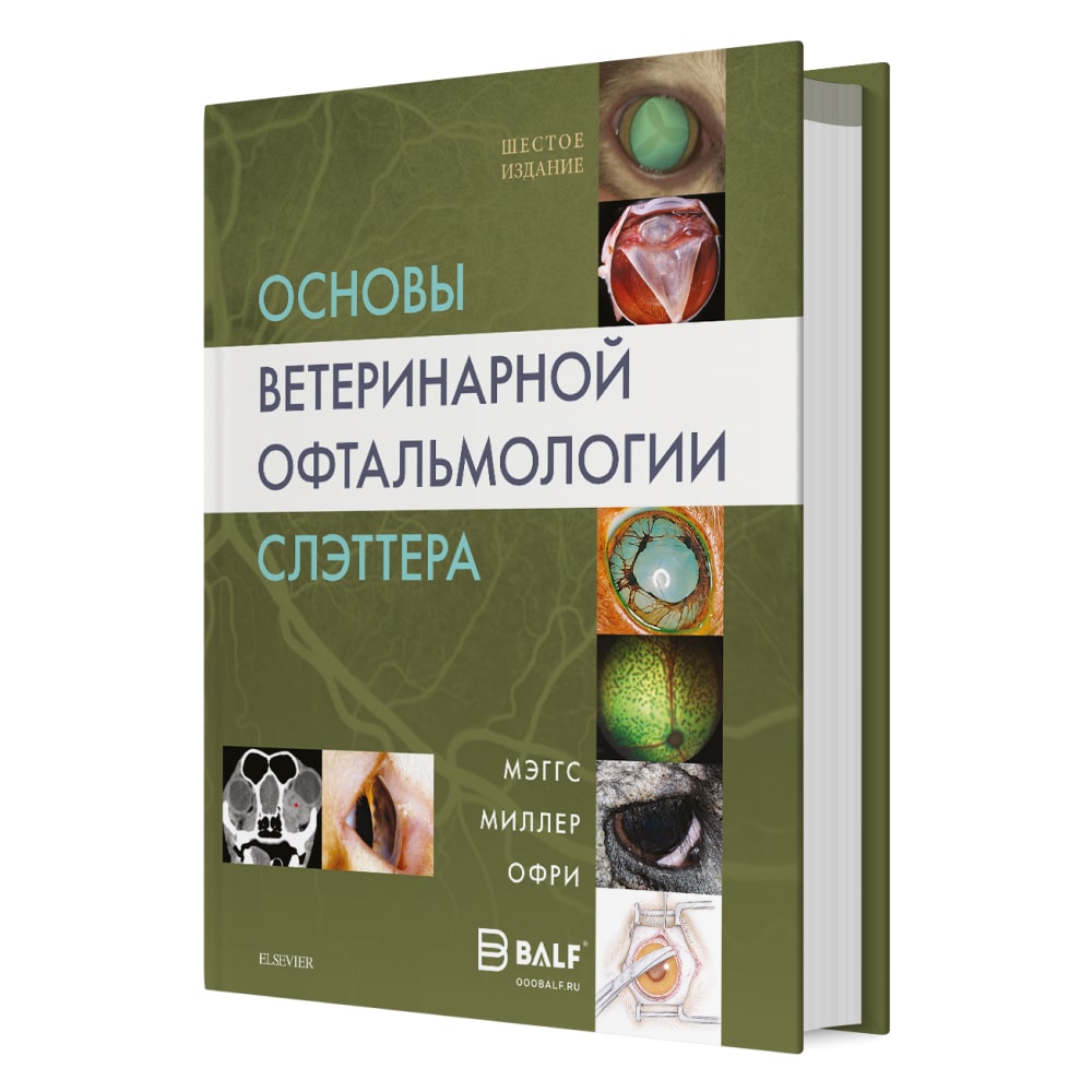 Ортопедия и лечение переломов у мелких домашних животных